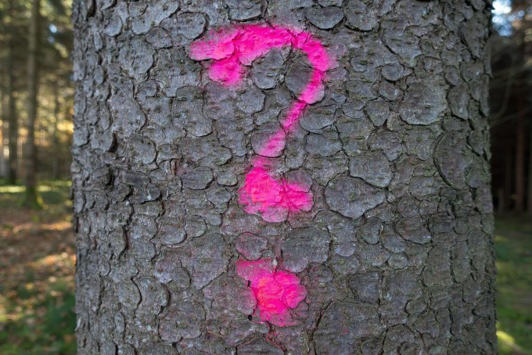 Sandrine Rousseau : quelle est sa taille et son impact sur la scène politique ?